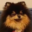태형 이미지