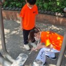 정화 태권도장 이미지