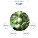 두콩이네 | 남유네 세미와 두콩이 믿을 수 있는 원료로 만든 기관지 지킴이 | 내돈내산 + 솔직후기
