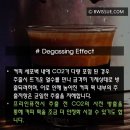 커피학개론