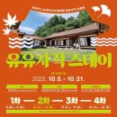 스테이 모인 이미지