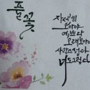 선율캘리