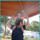 하서리2 이미지