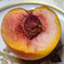 이례농장 이미지