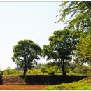 영남대학교 이미지