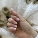 헤미쉬호텔 | 광주 센트럴레지던스호텔 베르사유홀 / 본식 당일 후기 / 루나 메이크업, 헤미쉬 드레스 /메이크유어...