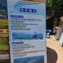 아리힐스(짚와이어) | 강원도 정선 가볼만한곳 아리힐스 짚와이어 탑승 후기