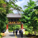 청류_맑고 청아한 이미지