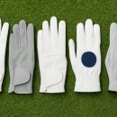 미라주 골프연습장 | 🧤 2025 여름골프장갑 추천 TOP7 – 땀 잡고 그립 살리는 초경량·통풍 신소재 비교