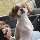 몽몽이 미용실 이미지