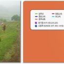 엑스포로 민박 이미지