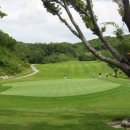 벨라스톤CC프로