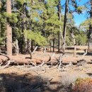 이라이스농장 이미지