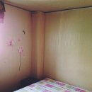 성일장여관 | 서울, 성동구 성일장 모텔 후기