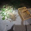 정순농장(2) 이미지