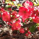 정있는 식품 이미지