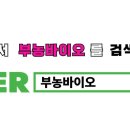 부농