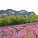 불암산나비정원 이미지