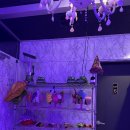 솜사탕노래타운 - 울주군 온양로 162-6 | 솜사탕노래타운