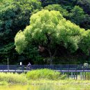 춘천 자전거 대여점 이미지