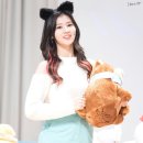 다모