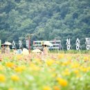 세명건강랜드 이미지