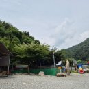 인등로 | 충주키즈캠핑장 어게인캠핑장 C구역 타프존 수영장