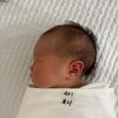 노랑통닭 수유점 | 세종 시온산후조리원 3일차 후기