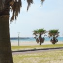 제주도게스트하우스안녕함덕 이미지