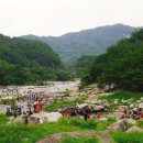 농월정