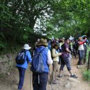 추성마을 이미지