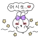핌 언더그라운드