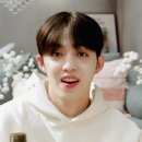 쿱스 이미지
