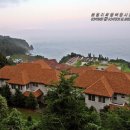 광어회 우럭회와 함께 울릉도 오징어가 통째로 쪄서나오는 울릉도맛집 대아울릉리조트 대아회센터 이미지