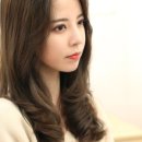 포레포레헤어 오류점