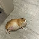받아들이는 거예요 그냥 들이받을 수는 없으니까