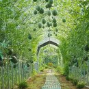 영지농장 이미지