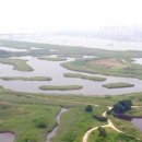 가락생태공원(1) 이미지