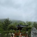 태백산로 | [태백] 태백호텔 ㅣ로얄패밀리 당일 예약 솔직후기