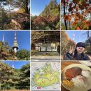 남산예장공영주차장 화장실 | 남산 하늘숲길 30분 코스 세상에나 너무 좋아 (주차, 주의사항)