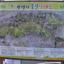 대야쌈지공원 | 광명 구름산 종주산행(2021.03.05)