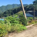 원통로177번길 이미지