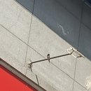 칠장사 부도군 | 경기둘레길 안성40코스 칠장사~금광호수(수석정)