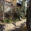 주이레유통 | 꽃밭을 정원으로, 야생화 화단 가드닝 프로젝트