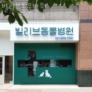 빌리브동물병원 | 성남 정자동 동물병원 빌리브동물병원 진료시간 접근성 이용후기