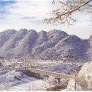 팔봉산관광지 야영장 이미지