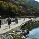 배내허브랜드 이미지