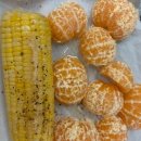 한타총판㈜ | 2025-12-20 지나서 읽으니까 재밌길래 써보는 대전 여행 후기 가보자고~ 1탄