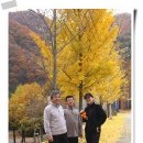 방화동가족휴가촌 이미지