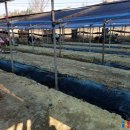 종삼농장 이미지